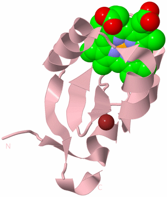 Image Biological Unit 3