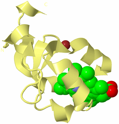 Image Biological Unit 4