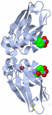 Image Biological Unit 3