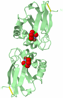 Image Biological Unit 4