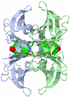 Image Biol. Unit 1 - sites