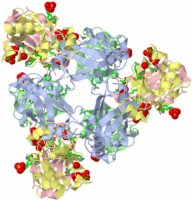 Image Biol. Unit 1 - sites