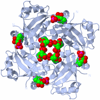 Image Biological Unit 1