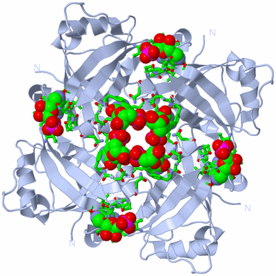 Image Biol. Unit 1 - sites