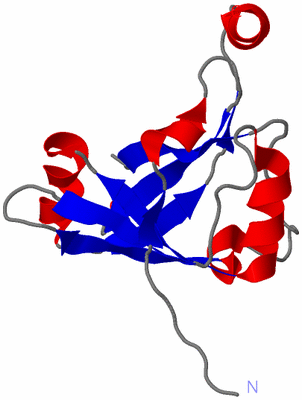 Image Asymmetric Unit