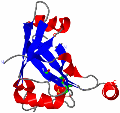 Image Asym. Unit - sites