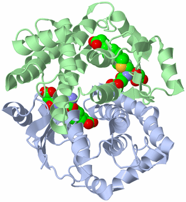 Image Asym./Biol. Unit