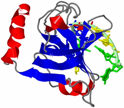 Image Asym./Biol. Unit