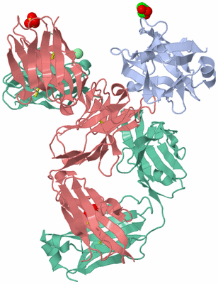 Image Asym./Biol. Unit