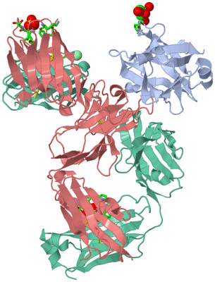 Image Asym./Biol. Unit - sites