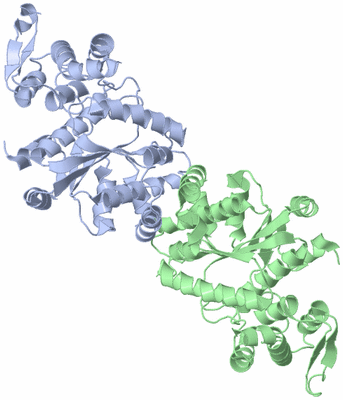 Image Asym./Biol. Unit