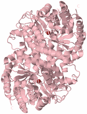 Image Biological Unit 2