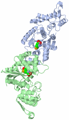 Image Asym./Biol. Unit