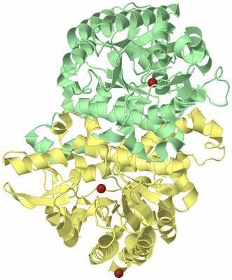 Image Biological Unit 2