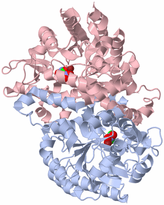 Image Biological Unit 1