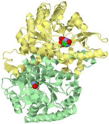 Image Biological Unit 2