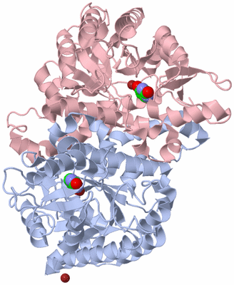 Image Biological Unit 1