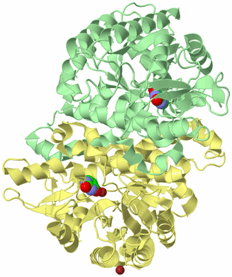 Image Biological Unit 2