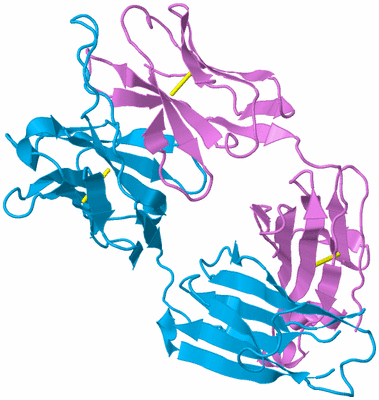 Image Biological Unit 1