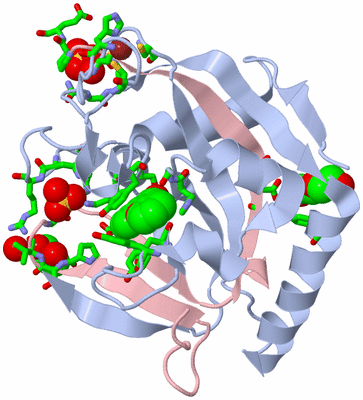 Image Biol. Unit 1 - sites