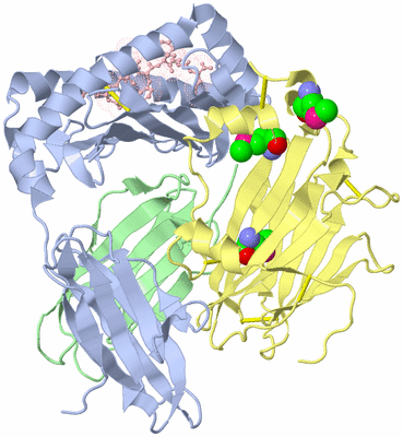 Image Biological Unit 1