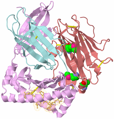 Image Biological Unit 2