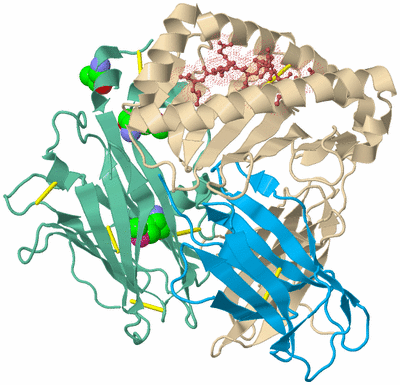 Image Biological Unit 3