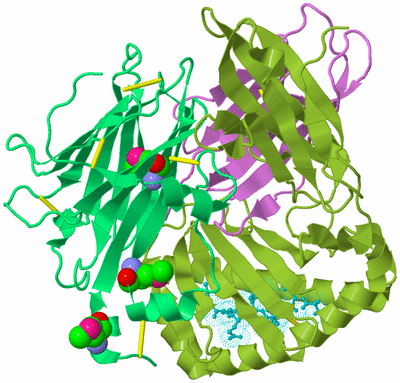 Image Biological Unit 4