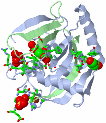 Image Biol. Unit 1 - sites