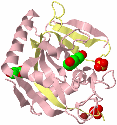 Image Biological Unit 2