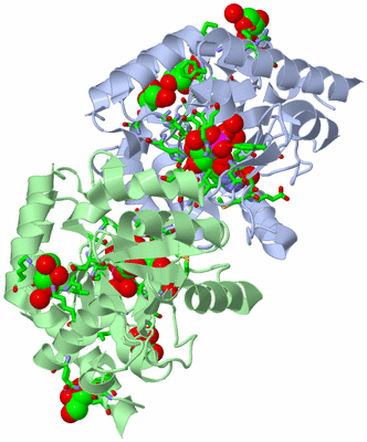 Image Asym./Biol. Unit - sites