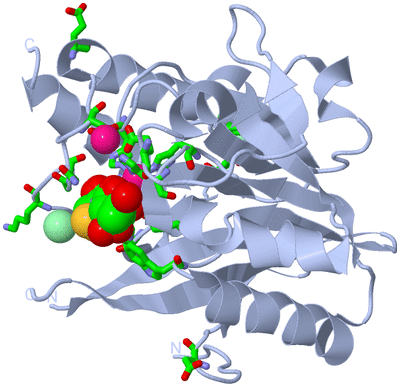 Image Biol. Unit 1 - sites