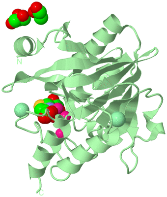 Image Biological Unit 2