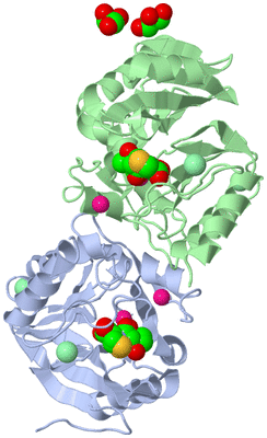 Image Biological Unit 3