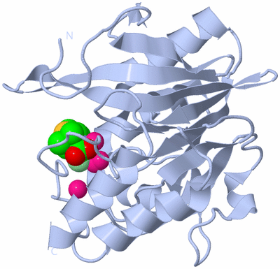 Image Biological Unit 1