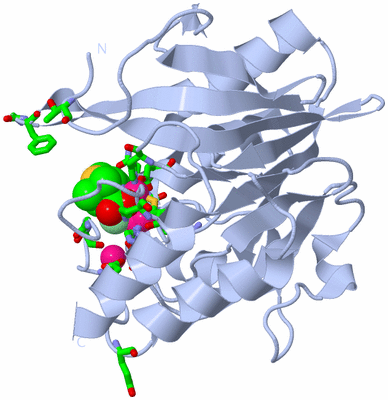 Image Biol. Unit 1 - sites