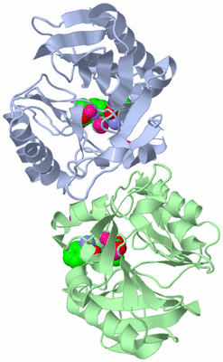 Image Biological Unit 3