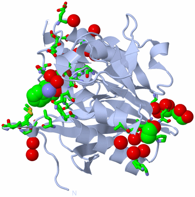 Image Biol. Unit 1 - sites