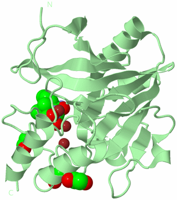 Image Biological Unit 2