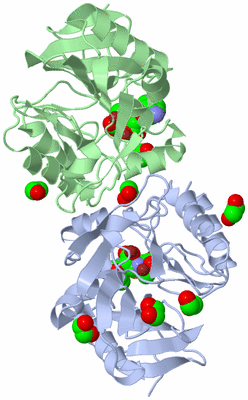 Image Biological Unit 3