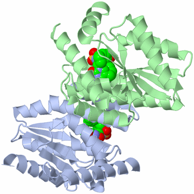 Image Asym./Biol. Unit