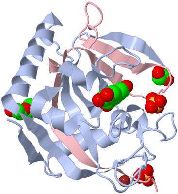 Image Biological Unit 1