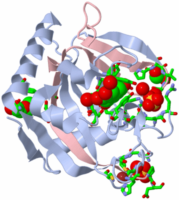 Image Biol. Unit 1 - sites