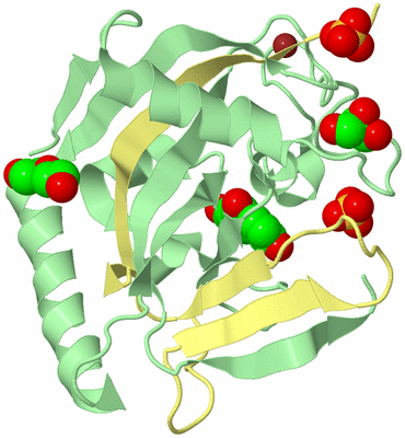 Image Biological Unit 2