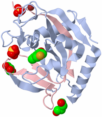 Image Biological Unit 1