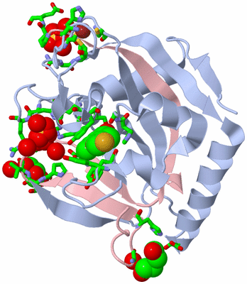 Image Biol. Unit 1 - sites