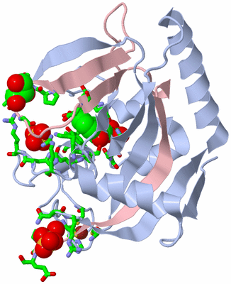 Image Biol. Unit 1 - sites