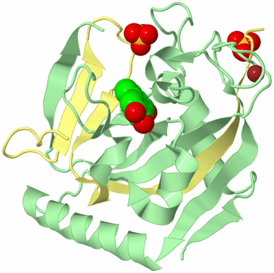 Image Biological Unit 2