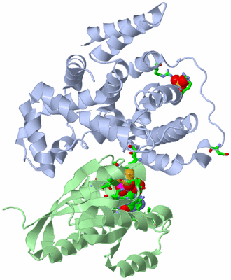 Image Biol. Unit 1 - sites