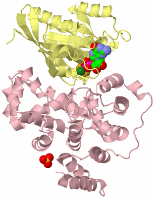 Image Biological Unit 2